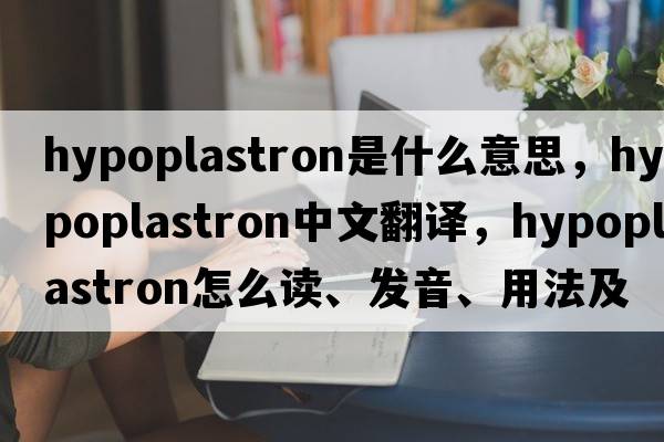 hypoplastron是什么意思，hypoplastron中文翻譯，hypoplastron怎么讀、發(fā)音、用法及例句
