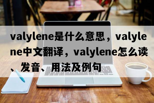 valylene是什么意思，valylene中文翻譯，valylene怎么讀、發(fā)音、用法及例句