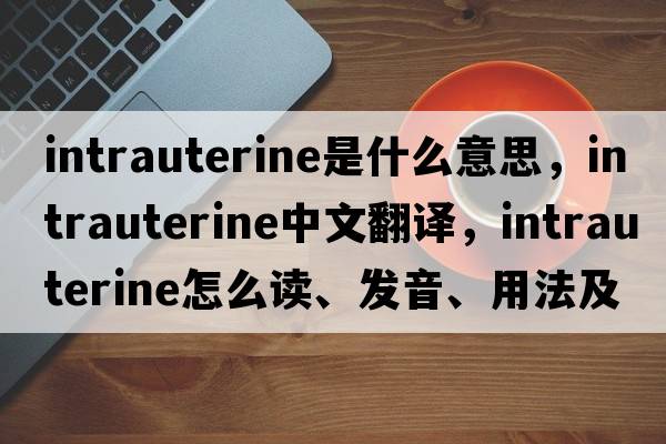 intrauterine是什么意思，intrauterine中文翻譯，intrauterine怎么讀、發(fā)音、用法及例句