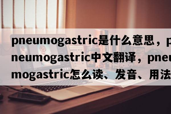 pneumogastric是什么意思，pneumogastric中文翻譯，pneumogastric怎么讀、發(fā)音、用法及例句
