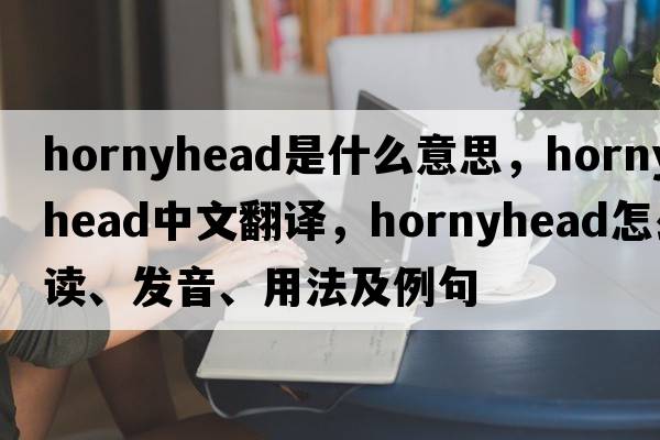 hornyhead是什么意思，hornyhead中文翻譯，hornyhead怎么讀、發(fā)音、用法及例句