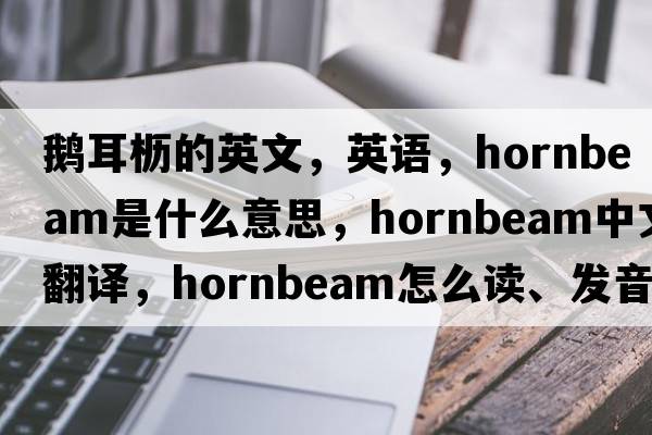 鵝耳櫪的英文，英語(yǔ)，hornbeam是什么意思，hornbeam中文翻譯，hornbeam怎么讀、發(fā)音、用法及例句