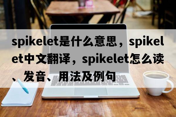 spikelet是什么意思，spikelet中文翻譯，spikelet怎么讀、發(fā)音、用法及例句