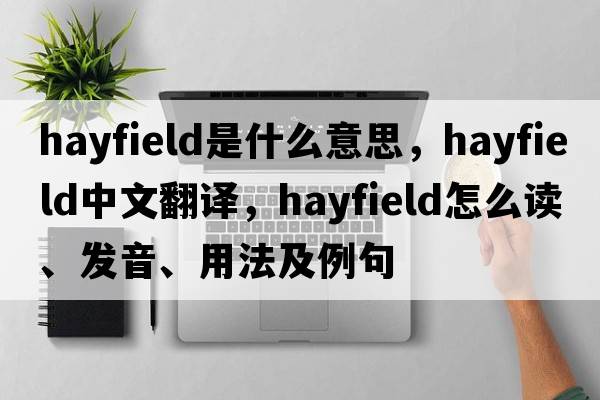 hayfield是什么意思，hayfield中文翻譯，hayfield怎么讀、發(fā)音、用法及例句