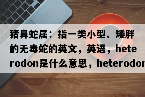 豬鼻蛇屬：指一類(lèi)小型、矮胖的無(wú)毒蛇的英文，英語(yǔ)，Heterodon是什么意思，Heterodon中文翻譯，Heterodon怎么讀、發(fā)音、用法及例句