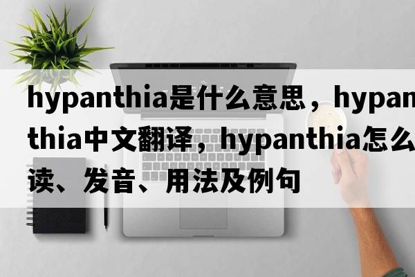 hypanthia是什么意思，hypanthia中文翻譯，hypanthia怎么讀、發(fā)音、用法及例句