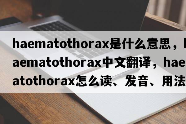 haematothorax是什么意思，haematothorax中文翻譯，haematothorax怎么讀、發(fā)音、用法及例句