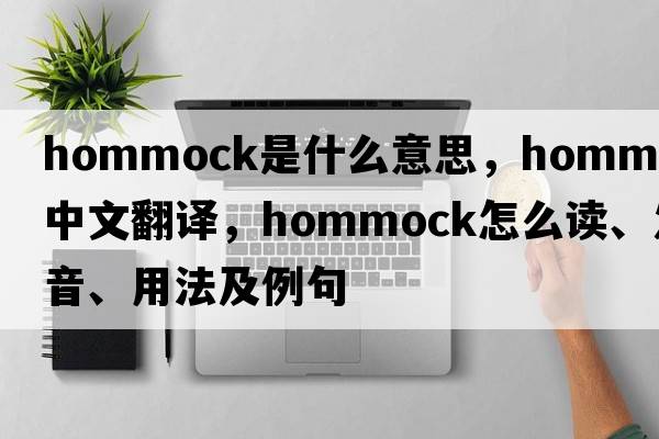 hommock是什么意思，hommock中文翻譯，hommock怎么讀、發(fā)音、用法及例句