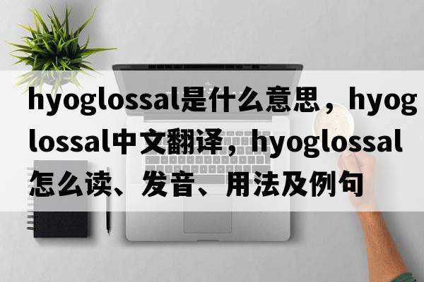 hyoglossal是什么意思，hyoglossal中文翻譯，hyoglossal怎么讀、發(fā)音、用法及例句