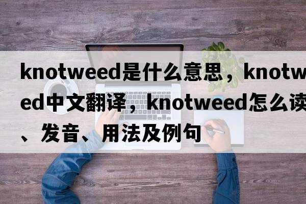 knotweed是什么意思，knotweed中文翻譯，knotweed怎么讀、發(fā)音、用法及例句