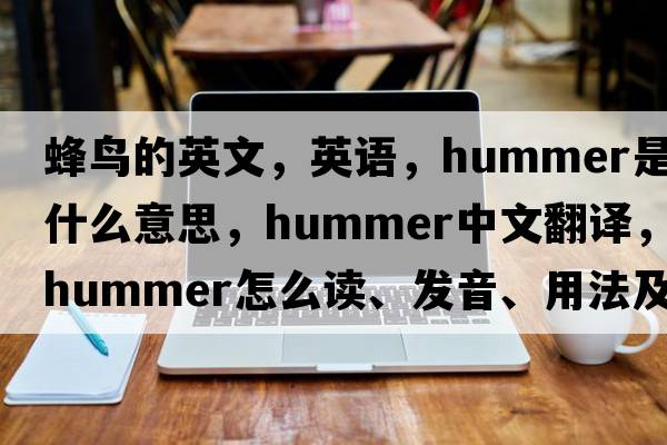 蜂鳥(niǎo)的英文，英語(yǔ)，hummer是什么意思，hummer中文翻譯，hummer怎么讀、發(fā)音、用法及例句