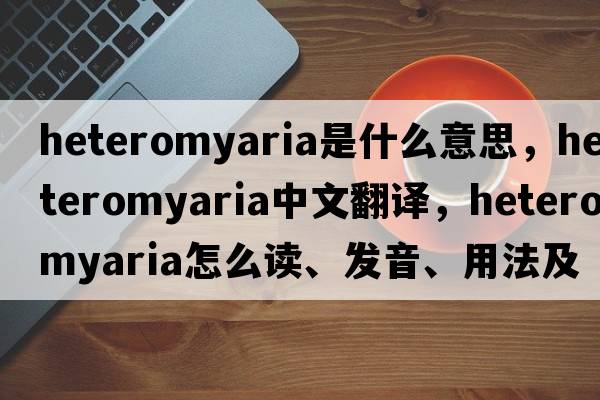 heteromyaria是什么意思，heteromyaria中文翻譯，heteromyaria怎么讀、發(fā)音、用法及例句
