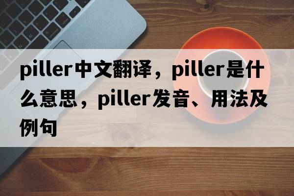 piller中文翻譯，piller是什么意思，piller發(fā)音、用法及例句