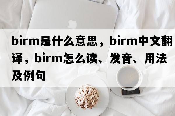 Birm是什么意思，Birm中文翻譯，Birm怎么讀、發(fā)音、用法及例句
