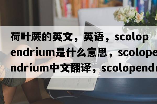 荷葉蕨的英文，英語(yǔ)，scolopendrium是什么意思，scolopendrium中文翻譯，scolopendrium怎么讀、發(fā)音、用法及例句