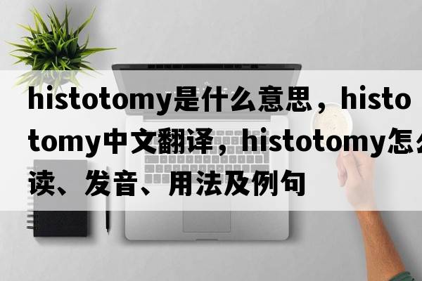 histotomy是什么意思，histotomy中文翻譯，histotomy怎么讀、發(fā)音、用法及例句