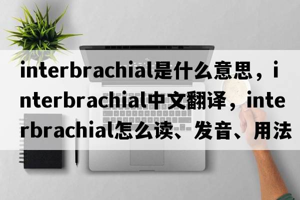 interbrachial是什么意思，interbrachial中文翻譯，interbrachial怎么讀、發(fā)音、用法及例句