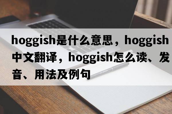 hoggish是什么意思，hoggish中文翻譯，hoggish怎么讀、發(fā)音、用法及例句