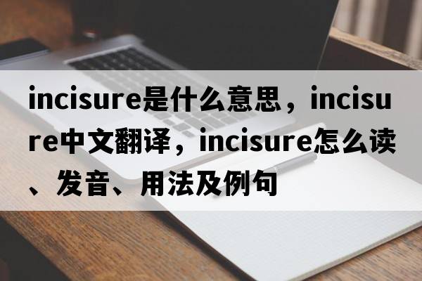 incisure是什么意思，incisure中文翻譯，incisure怎么讀、發(fā)音、用法及例句