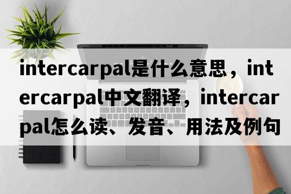 intercarpal是什么意思，intercarpal中文翻譯，intercarpal怎么讀、發(fā)音、用法及例句