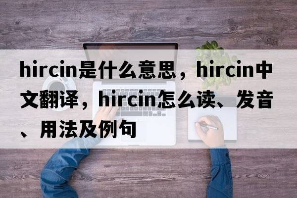 hircin是什么意思，hircin中文翻譯，hircin怎么讀、發(fā)音、用法及例句