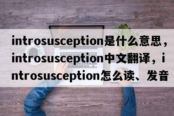 introsusception是什么意思，introsusception中文翻譯，introsusception怎么讀、發(fā)音、用法及例句