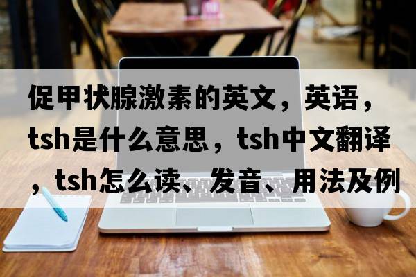 促甲狀腺激素的英文，英語(yǔ)，tsh是什么意思，tsh中文翻譯，tsh怎么讀、發(fā)音、用法及例句