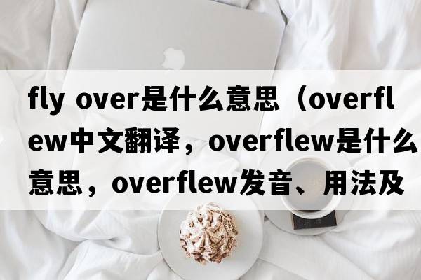 fly over是什么意思（overflew中文翻譯，overflew是什么意思，overflew發(fā)音、用法及例句）