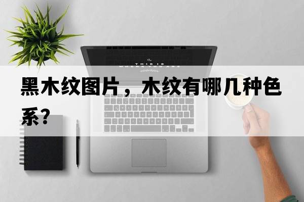 黑木紋圖片，木紋有哪幾種色系？