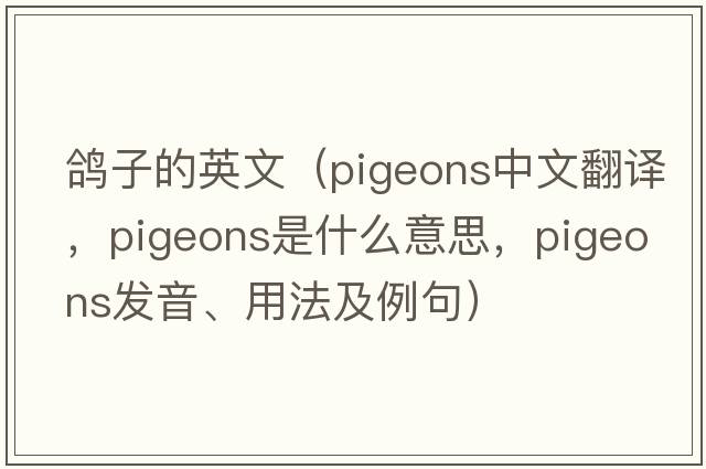 鴿子的英文（pigeons中文翻譯，pigeons是什么意思，pigeons發(fā)音、用法及例句）
