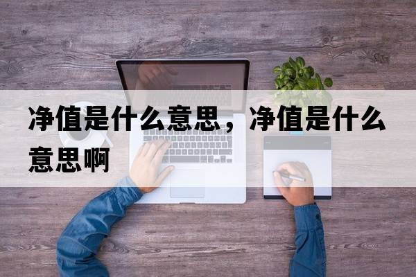 凈值是什么意思，凈值是什么意思啊