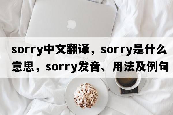 sorry中文翻譯，sorry是什么意思，sorry發(fā)音、用法及例句