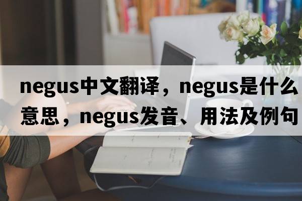 negus中文翻譯，negus是什么意思，negus發(fā)音、用法及例句