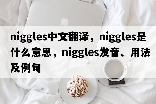 niggles中文翻譯，niggles是什么意思，niggles發(fā)音、用法及例句
