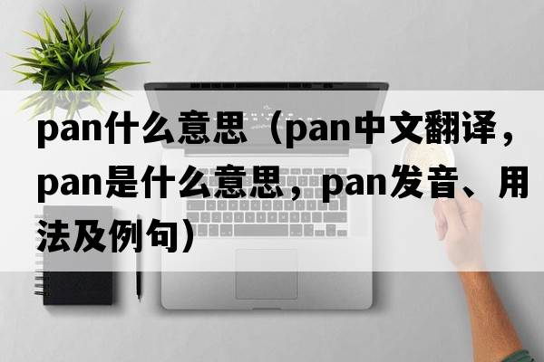 pan什么意思（pan中文翻譯，pan是什么意思，pan發(fā)音、用法及例句）