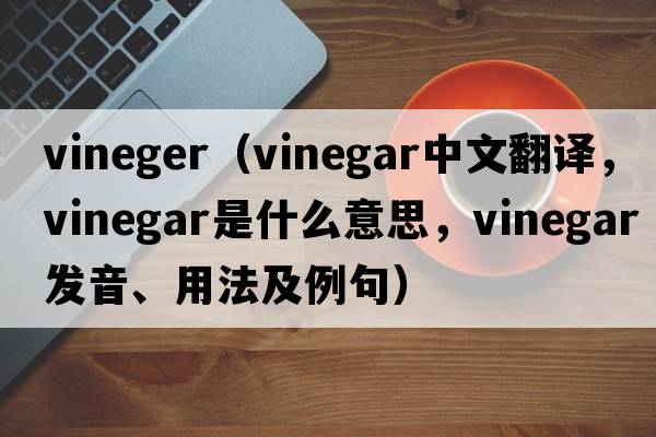 vineger（vinegar中文翻譯，vinegar是什么意思，vinegar發(fā)音、用法及例句）