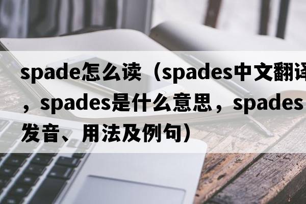 spade怎么讀（spades中文翻譯，spades是什么意思，spades發(fā)音、用法及例句）