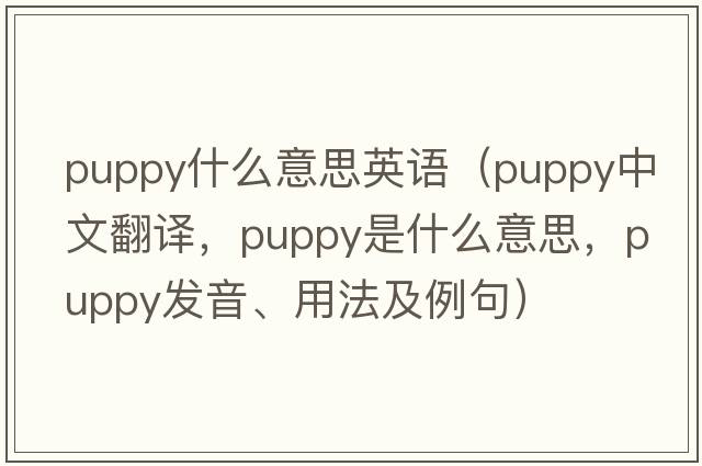 puppy什么意思英語(yǔ)（puppy中文翻譯，puppy是什么意思，puppy發(fā)音、用法及例句）