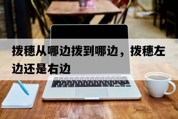 撥穗從哪邊撥到哪邊，撥穗左邊還是右邊