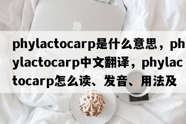 phylactocarp是什么意思，phylactocarp中文翻譯，phylactocarp怎么讀、發(fā)音、用法及例句
