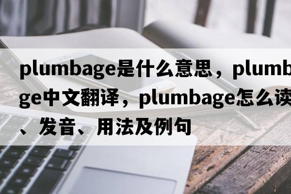plumbage是什么意思，plumbage中文翻譯，plumbage怎么讀、發(fā)音、用法及例句
