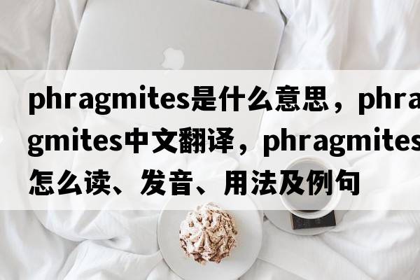 Phragmites是什么意思，Phragmites中文翻譯，Phragmites怎么讀、發(fā)音、用法及例句