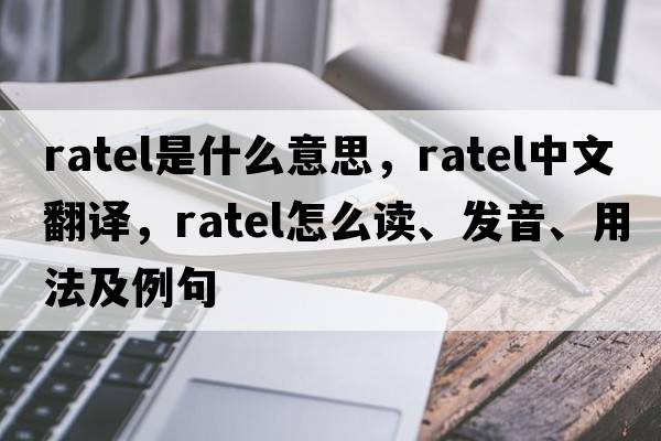 ratel是什么意思，ratel中文翻譯，ratel怎么讀、發(fā)音、用法及例句