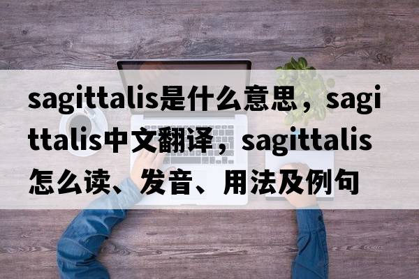 sagittalis是什么意思，sagittalis中文翻譯，sagittalis怎么讀、發(fā)音、用法及例句