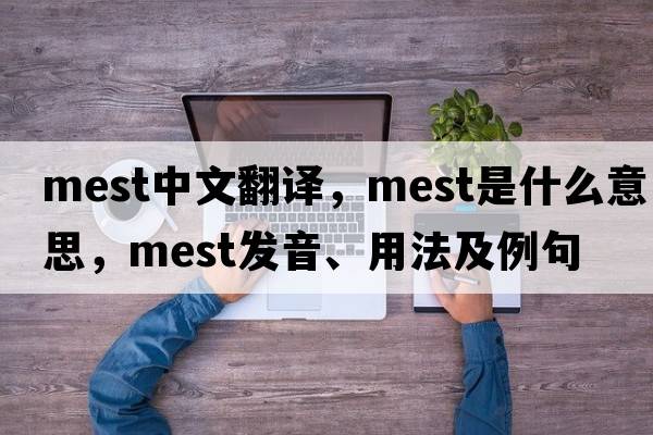 mest中文翻譯，mest是什么意思，mest發(fā)音、用法及例句