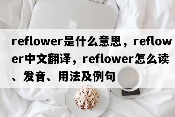 reflower是什么意思，reflower中文翻譯，reflower怎么讀、發(fā)音、用法及例句