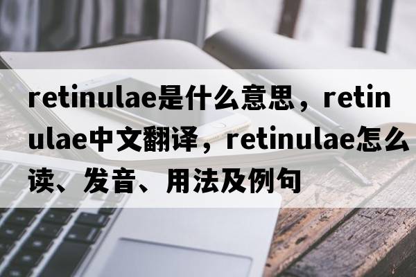 retinulae是什么意思，retinulae中文翻譯，retinulae怎么讀、發(fā)音、用法及例句