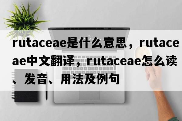 Rutaceae是什么意思，Rutaceae中文翻譯，Rutaceae怎么讀、發(fā)音、用法及例句