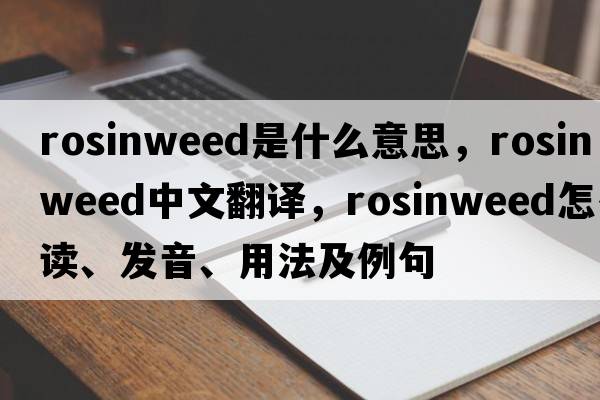 rosinweed是什么意思，rosinweed中文翻譯，rosinweed怎么讀、發(fā)音、用法及例句