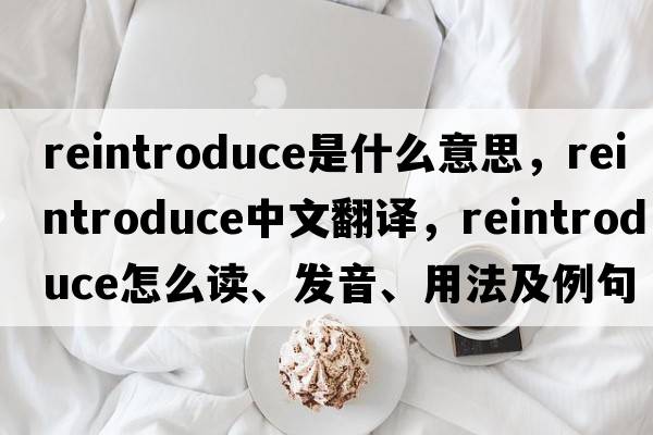 reintroduce是什么意思，reintroduce中文翻譯，reintroduce怎么讀、發(fā)音、用法及例句